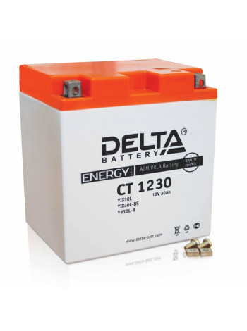 Аккумулятор Delta CT YTX 30L-BS (168 х 126 х 175) 30Ач