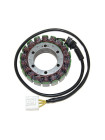 Статор генератора на HONDA RVT1000R RC51 SP1 00-01 RVT1000R RC51 SP2 02-06 ESG913
